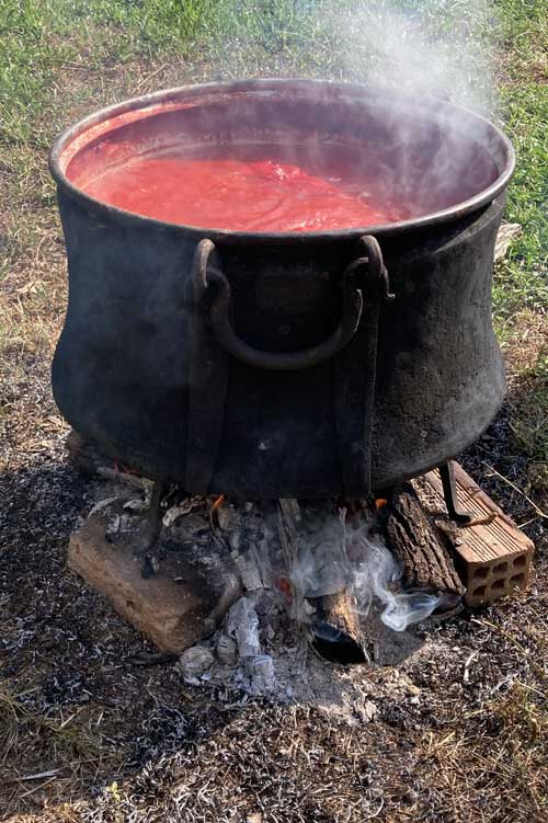 Φρέσκες ντομάτες, σάλτσα, παραδοσιακή μαγειρική