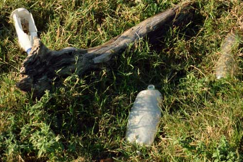 Rubbish in the forest, Σκουπίδια στο δάσος